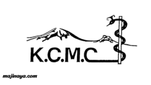 3 Physiotherapist II Jobs at Kilimanjaro Christian Medical Centre(KCMC)