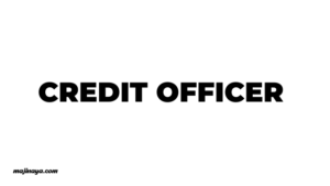 Credit Officer Jobs Description