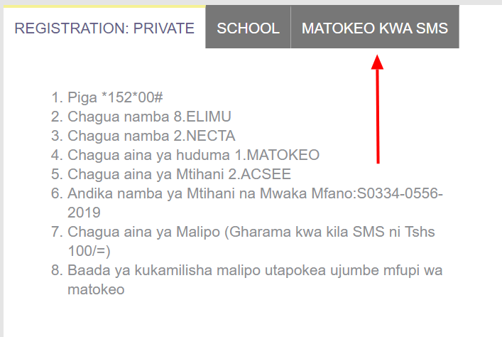 How to Check form four Results 2023