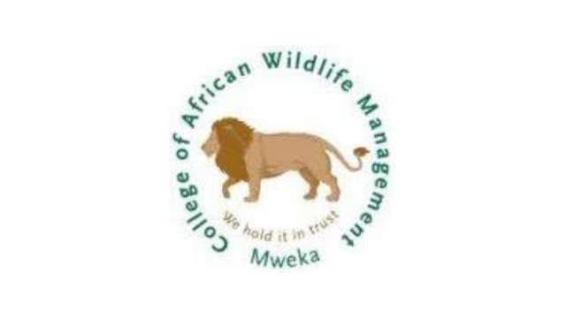 Library Assistant 2 Post at Mweka