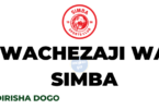 Majina ya wachezaji wa Simba SC Dirisha dogo Full signing window 2024