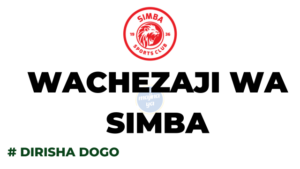 Majina ya wachezaji wa Simba SC Dirisha dogo Full signing window 2024