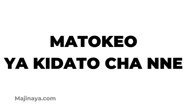 Matokeo ya kidato cha Nne 2023 All regions