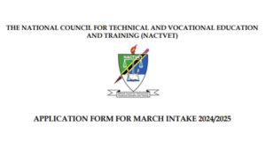 NACTVET fomu ya maombi 2024/2025 Application Form Release Checker