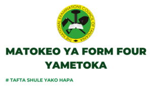 NECTA Matokeo ya form four 2023/2024 CSEE Results Checker Release