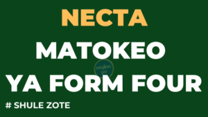 NECTA Matokeo ya kidato cha Nne 2023-2024 CSEE Results Checker Release