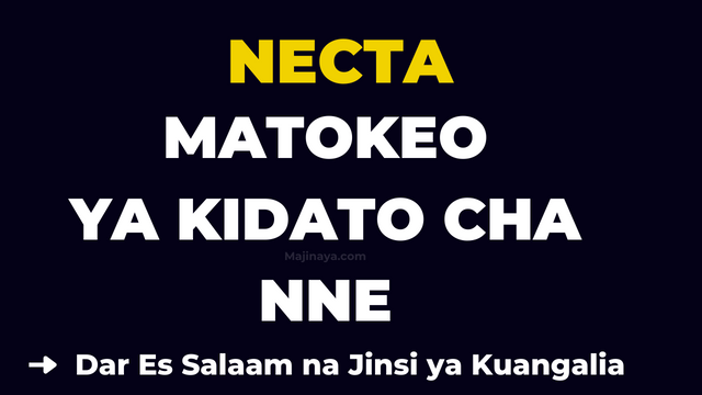 NECTA Matokeo ya kidato cha Nne 2023-24 Dar CSEE Results Checker Release