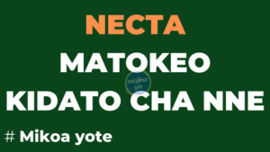 NECTA Matokeo ya kidato cha Nne 2023-24 CSEE Results Checker Release