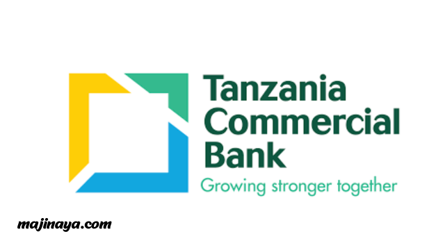 Principal ICT Officer Jobs at Tanzania Commercial Bank (TCB)