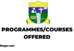 RUCU Programmes/Courses offered - Ruaha Catholic University