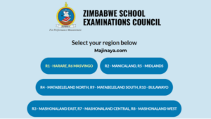 ZIMSEC O’Level results 2023-24 Checker Release