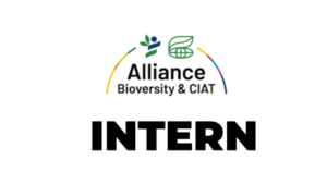 Intern – Program Administration at Alliance of Bioversity