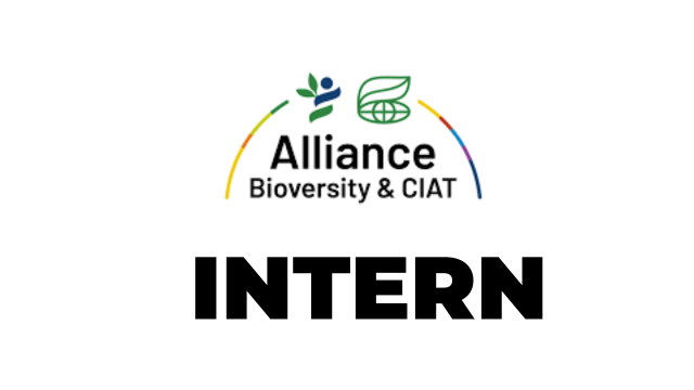Intern - Program Administration at Alliance of Bioversity