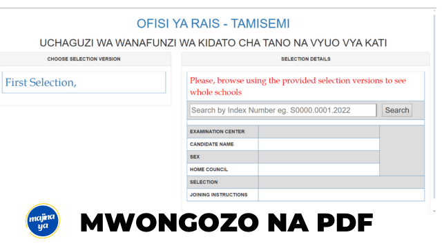 Tamisemi Waliochaguliwa kidato cha Tano 2024-2025 ACSEE Selection Checker Release