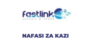 The latest Jobs in Aviation Security Officer at Fastlink Safaris Limited