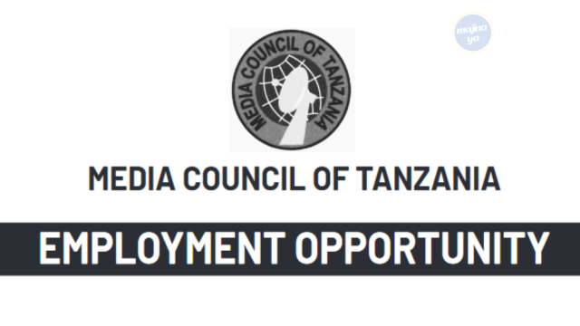 The latest Jobs in Finance Manager at Media Council of Tanzania (MCT)