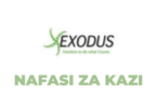 The latest Jobs in IT Support Engineer at Exodus