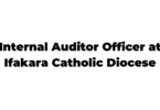 The latest Jobs in Internal Auditor Officer at Ifakara Catholic Diocese