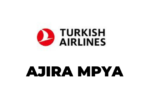 The latest Jobs in Sales and Station Agent at Turkish Airlines