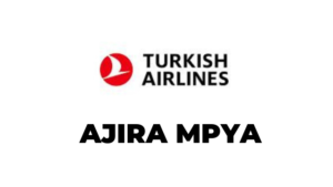 The latest Jobs in Sales and Station Agent at Turkish Airlines