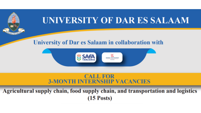 UDSM 15 Call for Internship Vacancies Through SAFA Project Announcement