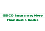 GEICO Insurance; More Than Just a Gecko