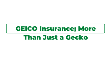 GEICO Insurance; More Than Just a Gecko